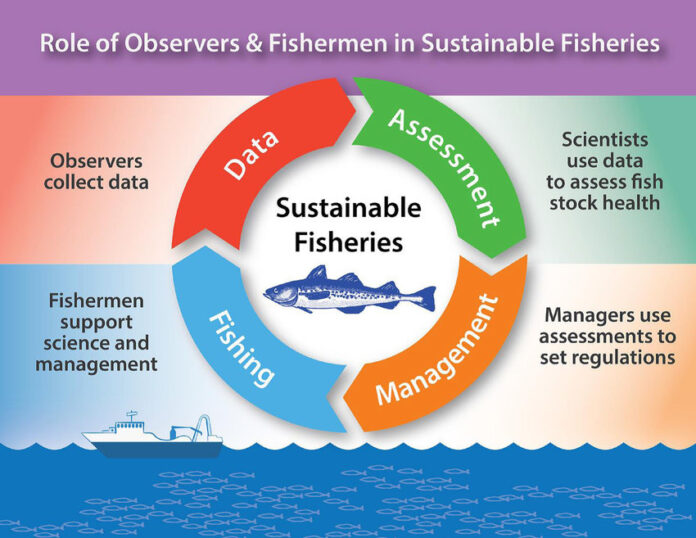 Sustainable Fisheries